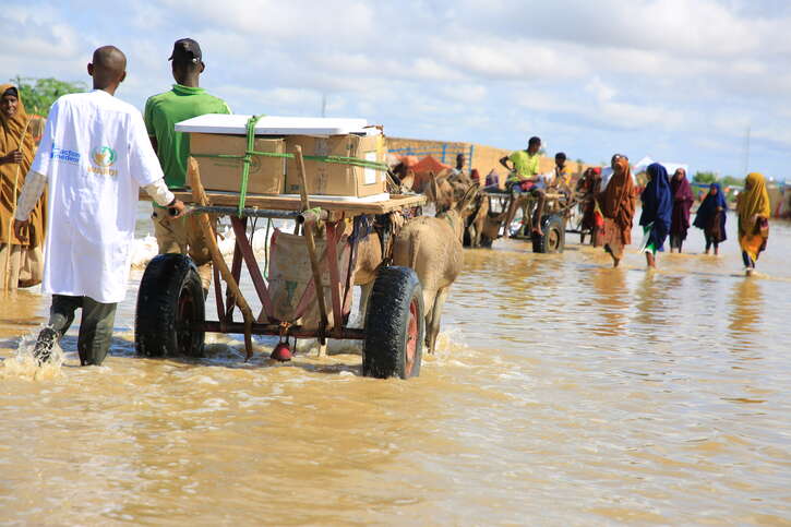 Bis zur letzten Meile: Lokale Partner von action medeor bringen dringend  benötigte Medikamente in die überfluteten Gebiete Somalias.